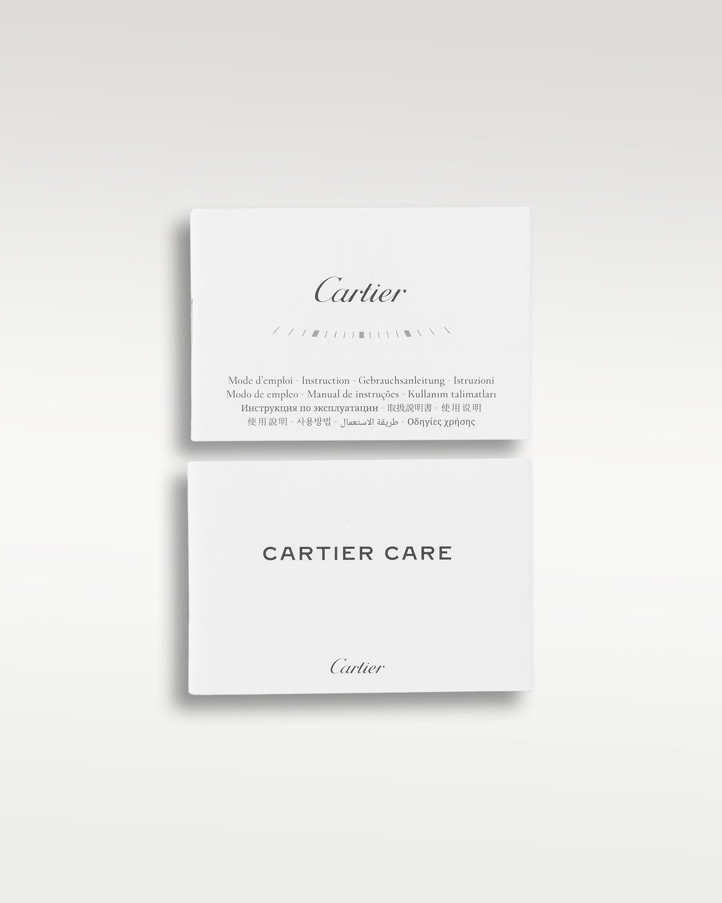 Cartier Santos De Cartier WSSA0018