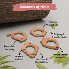 Wooden Teethers - Fruits